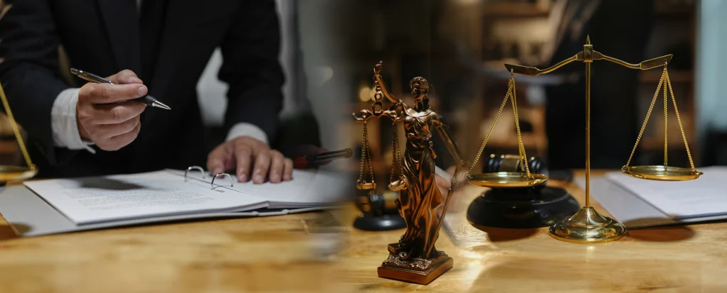 brazilian lawyer services